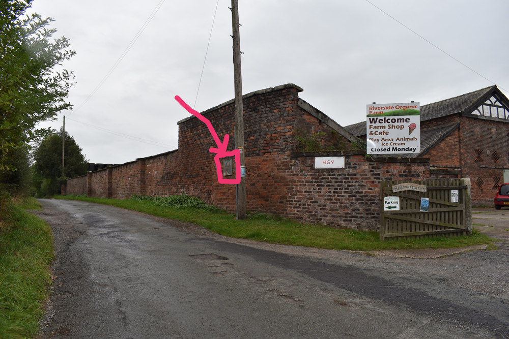 dancing coffin in situsmall