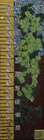 Ten Foot Gooseberry Mosaic